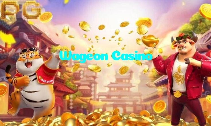 available types of Wageon Casino bet including pre-match live express and system bets